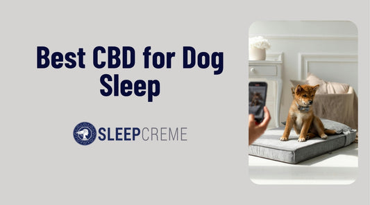 Best CBD for Dog Sleep: Natural Remedies for Peaceful Nights